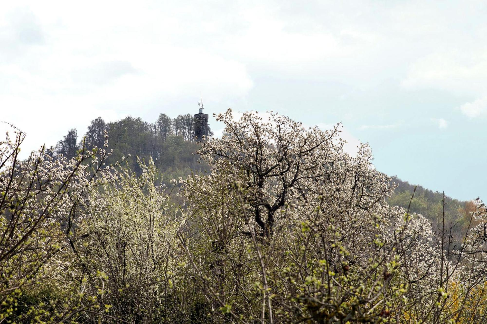 Ferienhaus "Am Staufenberg" Blankenburg  Kültér fotó