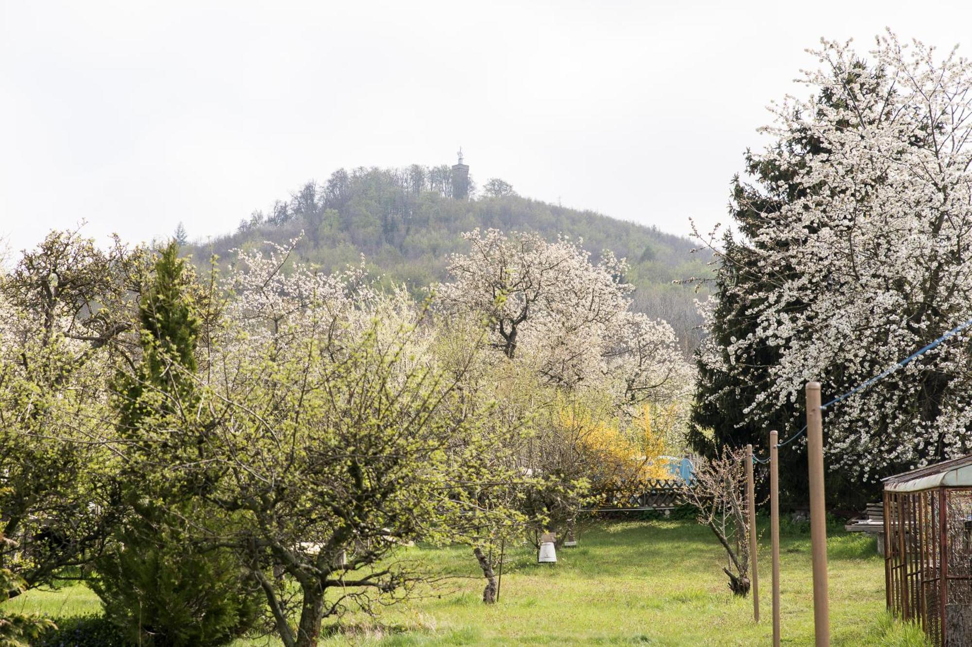 Ferienhaus "Am Staufenberg" Blankenburg  Kültér fotó